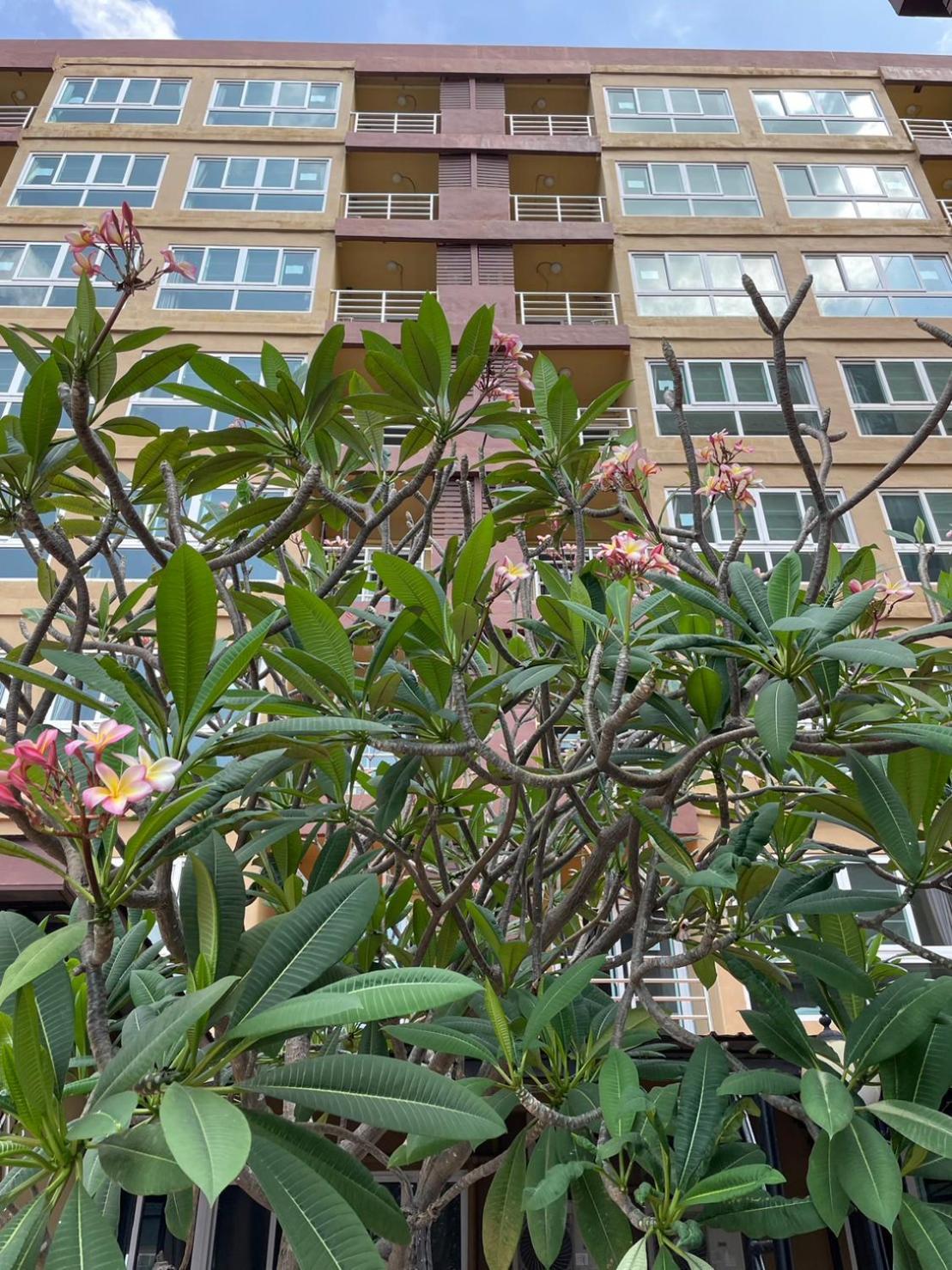 H2Do Hotel Ban Khlong Sanam Phli Bagian luar foto
